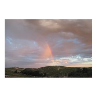 Poster: Rainbow Blesses Vineyards print