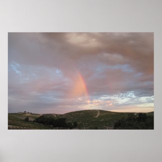 Poster: Rainbow Blesses Vineyards print