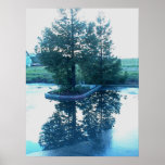 Poster: Reflection of Trees in Puddles