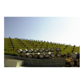 Poster-Rotta Vineyard in Templeton CA print