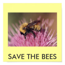 Poster: SAVE THE BEES posters