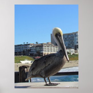 Poster - Single Pelican on the pier