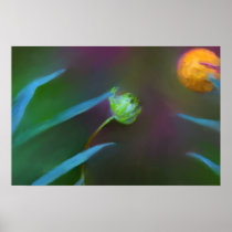 Poster - Small and Peaceful Wild Flower Painting posters