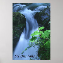Poster: Sol Duc Falls