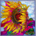 POSTER: Sunflower Shiver print