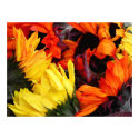 Poster, SUNFLOWERS # 63 posters by Florabunda Poster, SUNFLOWERS # 63 posters