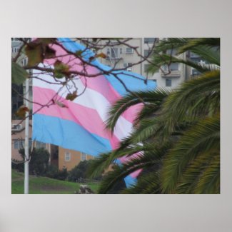 Poster - Transgender Flag flying in San Francisco