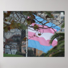 Poster - Transgender Flag flying in San Francisco