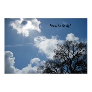 Poster: Tree against cloudy blue sky. print