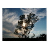 Poster - Tree from the beach posters by unclechuckstoys Poster - Tree from the beach posters