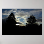 Poster: Trees Under a Cloudy Sky at Dusk