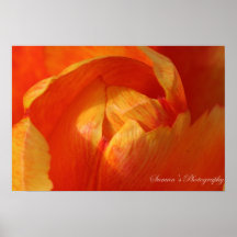 Poster - Tulip 02