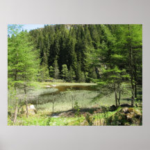 Poster verde de la relajación