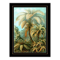 Poster Vintage Artist Ernst Haeckel Filicinae posters
