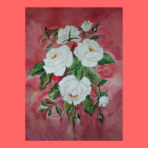 Poster White Roses posters by irenemaria Poster White Roses posters