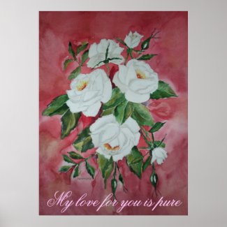 Poster White Roses print