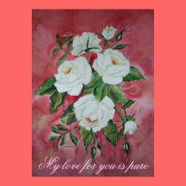 Poster White Roses posters