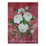 Poster White Roses