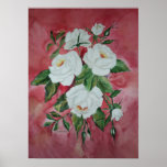 Poster White Roses posters
