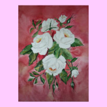 Poster White Roses posters