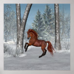 Poster Winter Scene Horse
