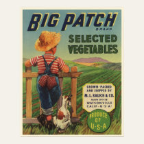 Poster with Vintage Label of Country Boy and Dog posters