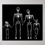POSTER - X-RAY SKELETON FAMILY BLACK & WHITE posters