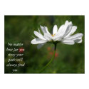 Poster - Your path will always find you posters by montyscorner Poster - Your path will always find you posters