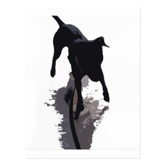 posterized dog and shadow postcards