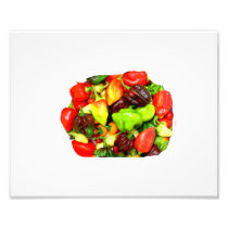 Posterized Hot Pepper Assortment Picture Photographic Print