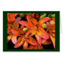 Posterized Lillies cards by skippie Posterized Lillies cards
