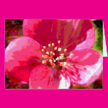 Posterized Pink Flower Cards