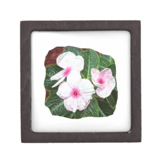 Posterized Purple Pinwheel Flowers Photograph