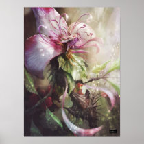 Posters posters
