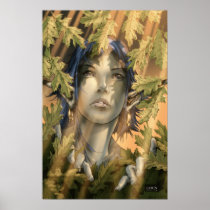 Posters posters
