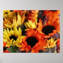 Posters, SUNFLOWERS # 1