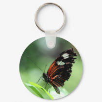 Postman Butterfly III keychains