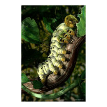Postman Caterpillar posters by Frank_Vitale Postman Caterpillar posters