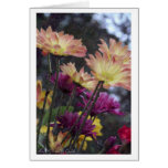 Posy Card