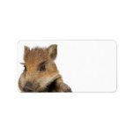 pot bellied pig piglet vector address label
