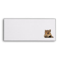pot bellied pig piglet vector envelopes