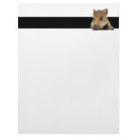 pot bellied pig piglet vector customized letterhead