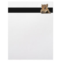 pot bellied pig piglet vector customized letterhead