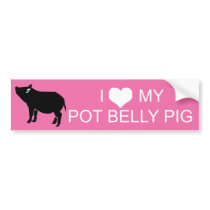 Pot Belly Pig Bumper Sticker