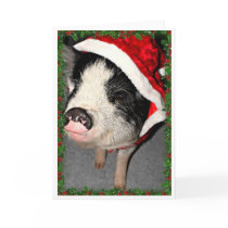 Pot Belly Pig Christmas