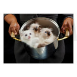 Pot Full of Kittens Card