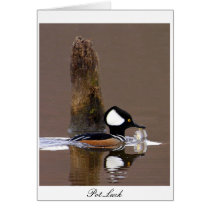 Pot Luck cards by bobsummers Pot Luck cards