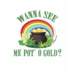 Pot O' Gold St Paddy's Giftware