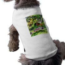 Pot of Geraniums Near Steps pet clothing