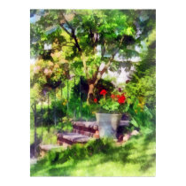 Pot of Geraniums Near Steps posters